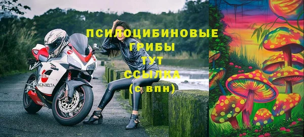 бошки Богданович